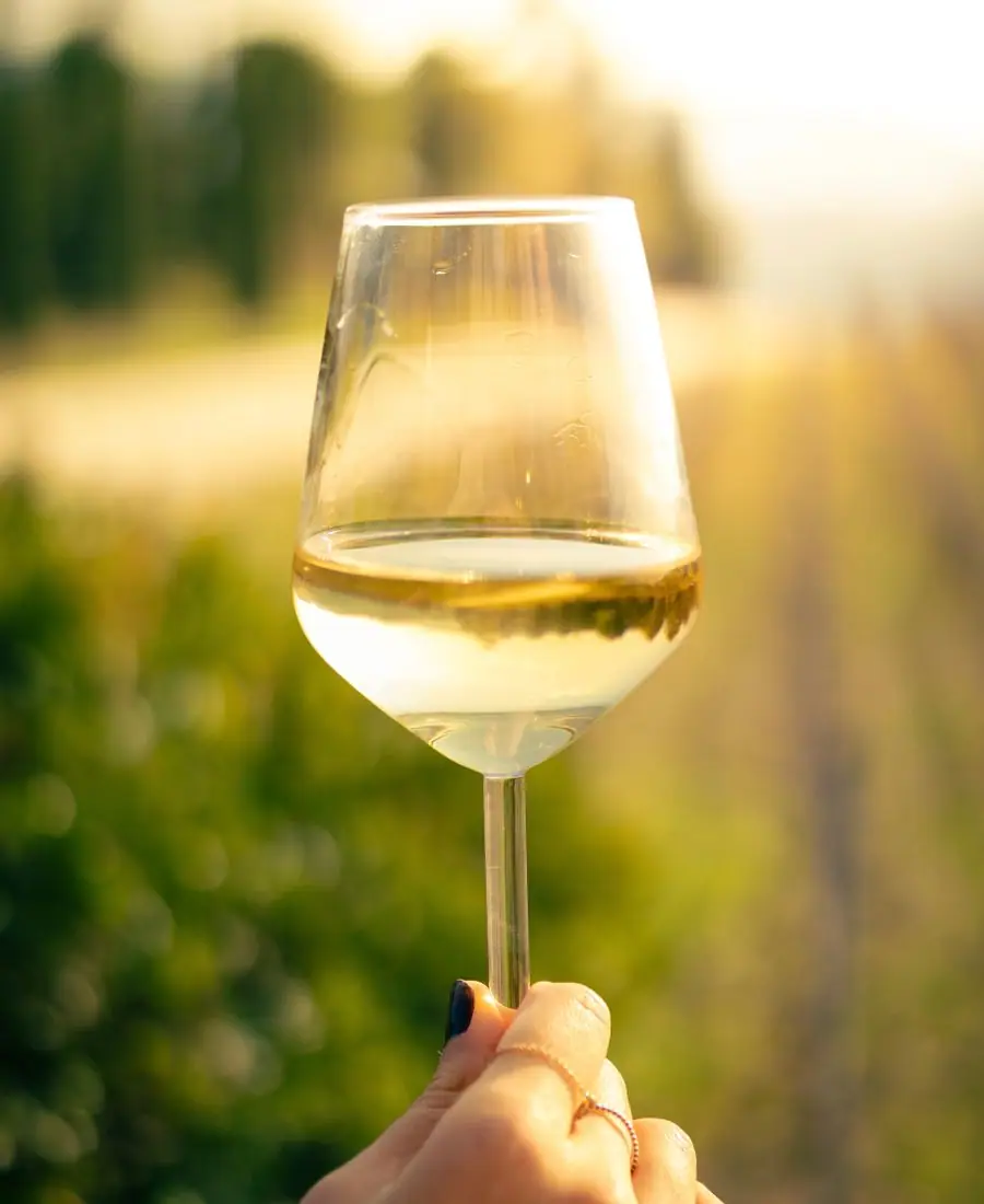 A chilled glass of golden white wine beside a bottle on a sunlit terrace